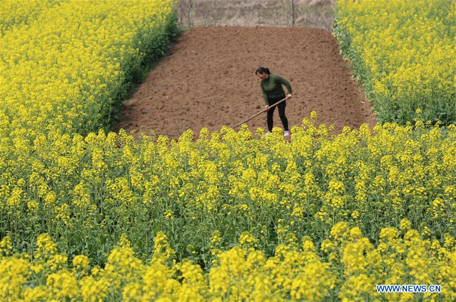 #CHINA-SPRING-FARMING (CN)