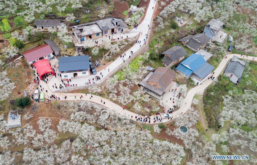 # CHINA-HUBEI-SPRING SCENERY-PLUM BLOSSOM (CN)