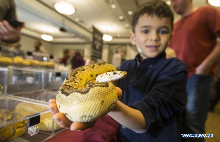 CANADA-TORONTO-REPTILE EXPO