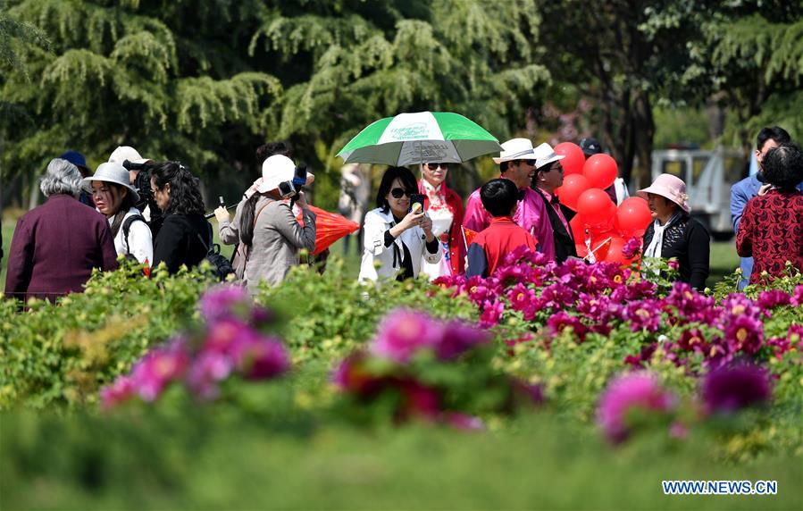 CHINA-HENAN-LUOYANG-PEONY-FESTIVAL-LAUNCH (CN)