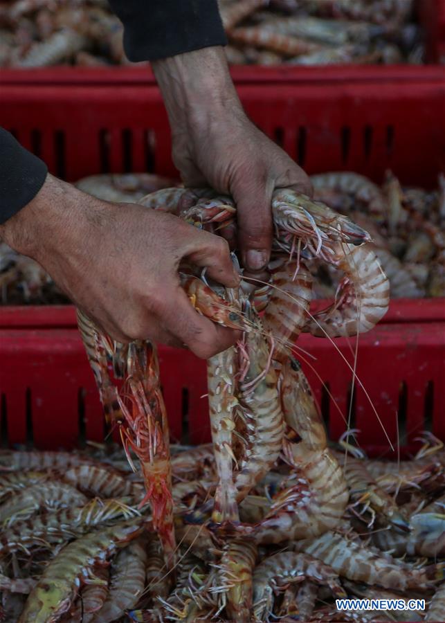 MIDEAST-GAZA-FISHERMEN-DAILY LIFE