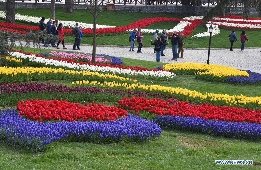 TURKEY-ISTANBUL-TULIPS