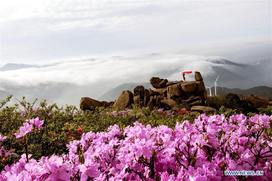 #CHINA-SPRING SCENERY-FLOWERS (CN)