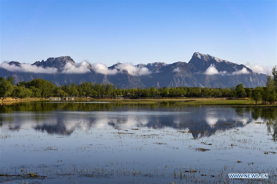 Xinhua Headlines: Beijing Expo sets new stage for global cooperation on green development