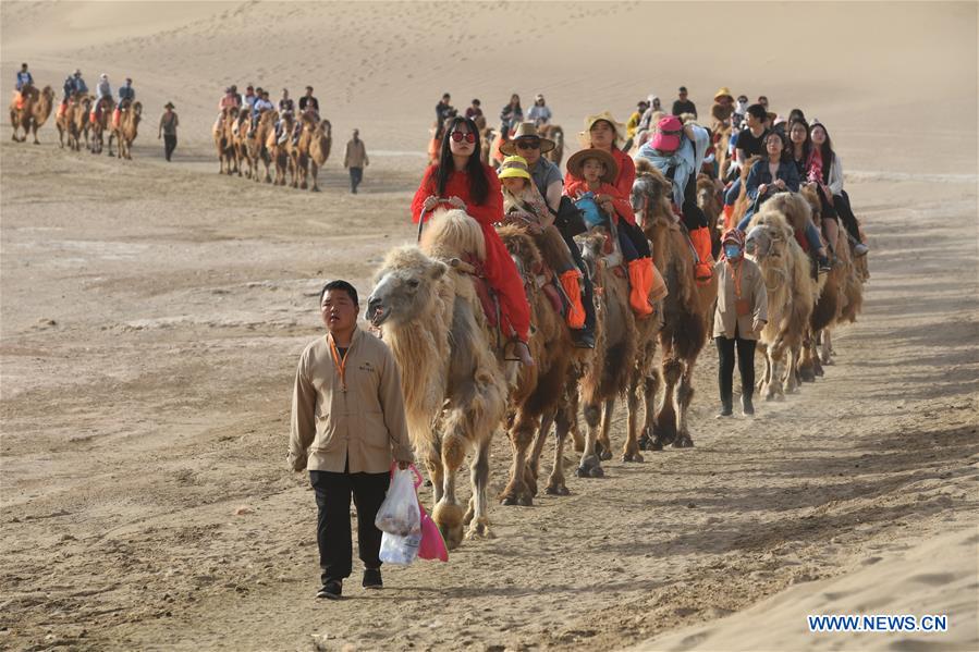 CHINA-GANSU-DUNHUANG-CAMEL-RIDE (CN)