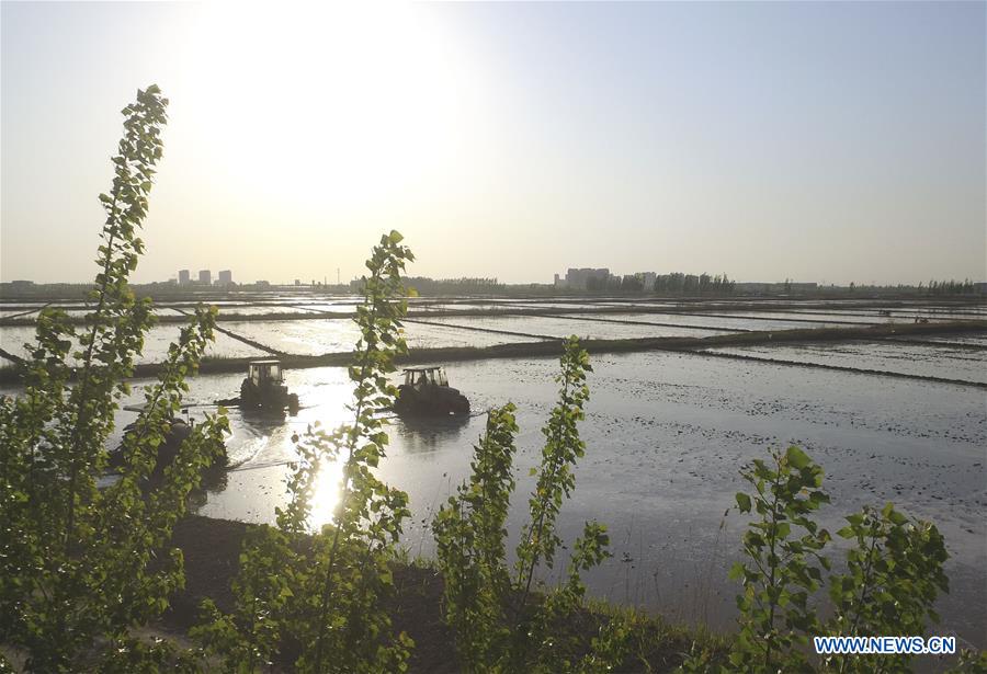 #CHINA-LABOR DAY HOLIDAY-FARMING (CN)