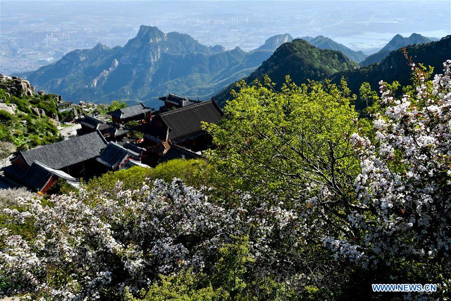 CHINA-SHANDONG-TAISHAN MOUNTAIN-SCENERY (CN)