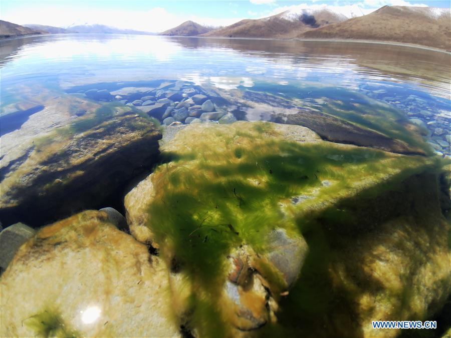 CHINA-TIBET-YAMZBOG YUMCO LAKE-SCENERY (CN)