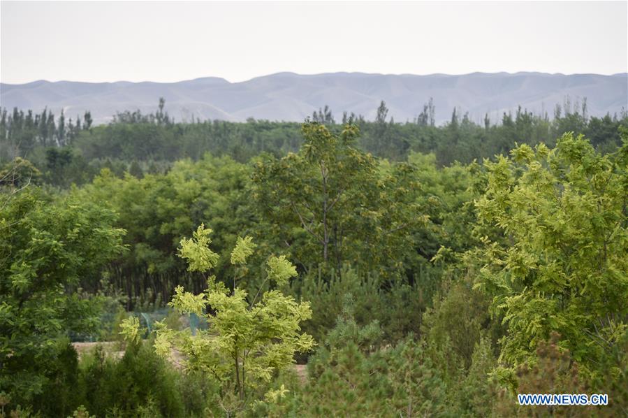 CHINA-NINGXIA-BAIJITAN-NATURE RESERVE (CN)