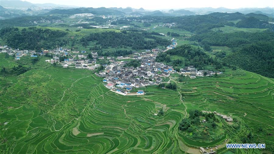 CHINA-GUIZHOU-DANZHAI-TERRACED FIELD-SCENERY (CN)