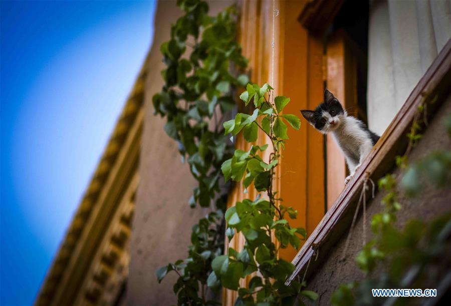 XINHUA PHOTOS OF THE DAY