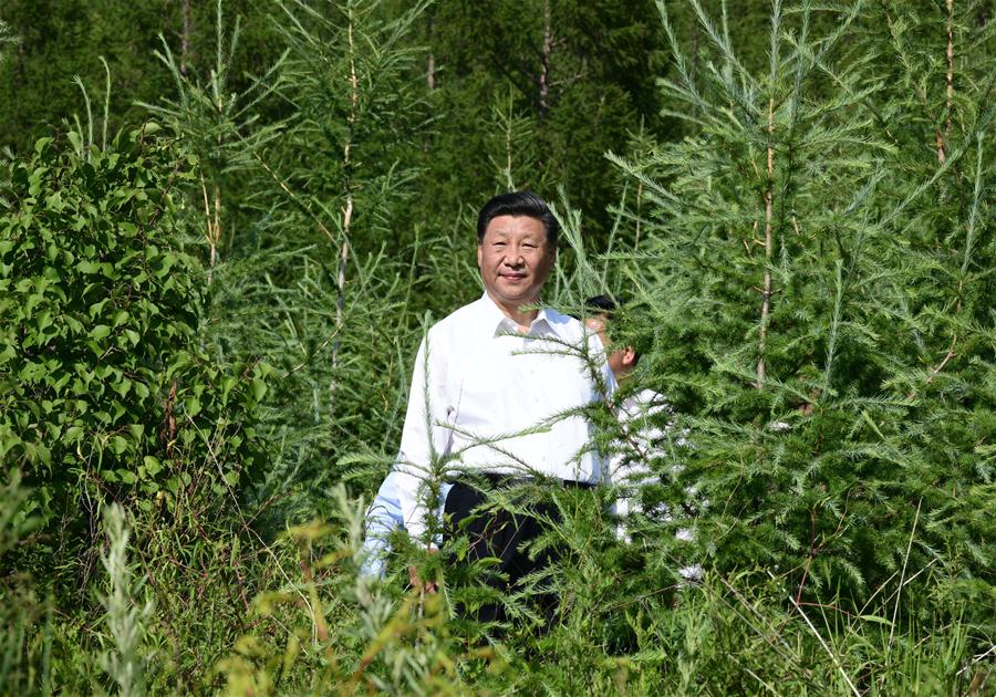 CHINA-INNER MONGOLIA-XI JINPING-INSPECTION (CN)