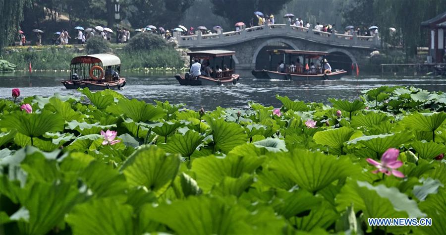 CHINA-BEIJING-YUANMINGYUAN-LOTUS-TOURISM (CN)