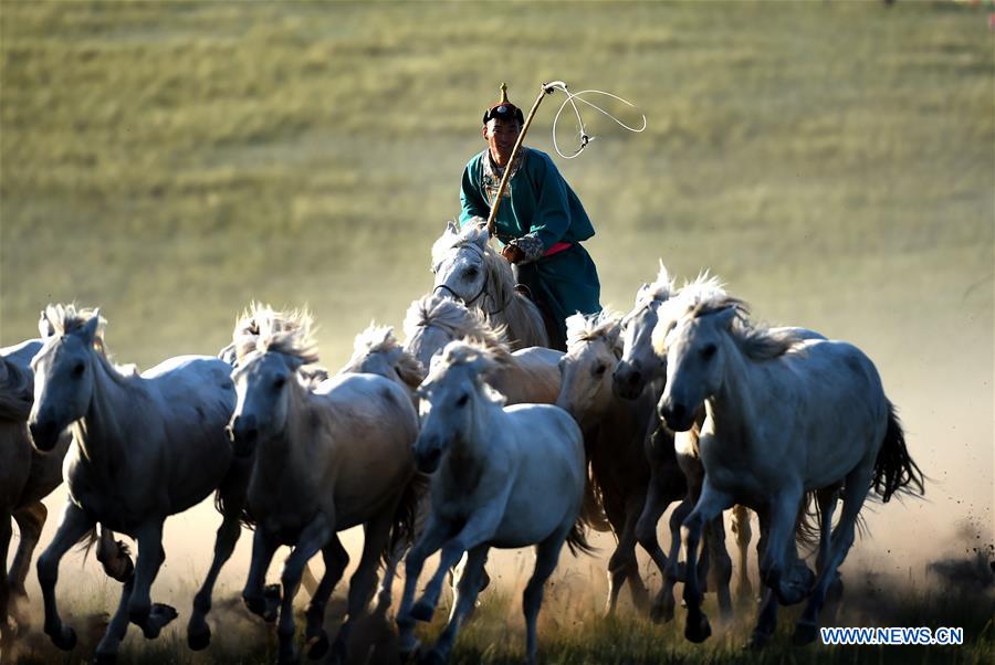 CHINA-INNER MONGOLIA-HORSE LASSOING (CN)