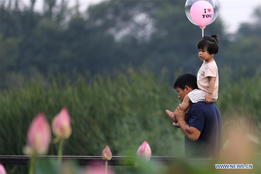 CHINA-DALIAN-WETLAND PARK-SCENERY (CN)