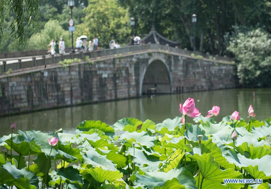 CHINA-ZHEJIANG-HANGZHOU-HEAT WAVE (CN)