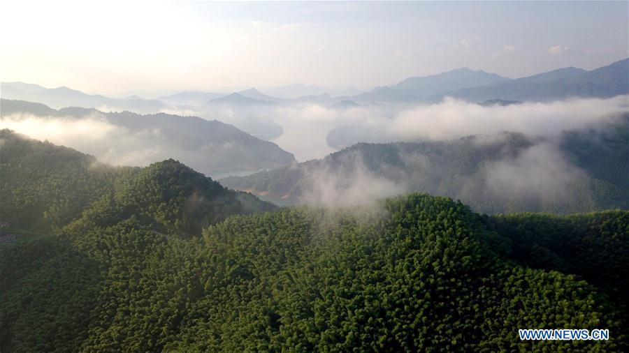 CHINA-ANHUI-DABIESHAN MOUNTAIN-SCENERY (CN)