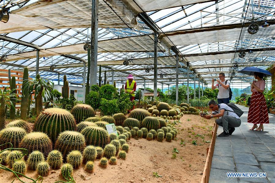 CHINA-FUJIAN-PV POWER-AGRICULTURAL GARDEN (CN)