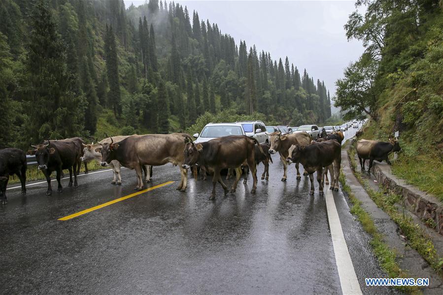 CHINA-XINJIANG-DUSHANZI-KUPA HIGHWAY-SCENERY (CN)