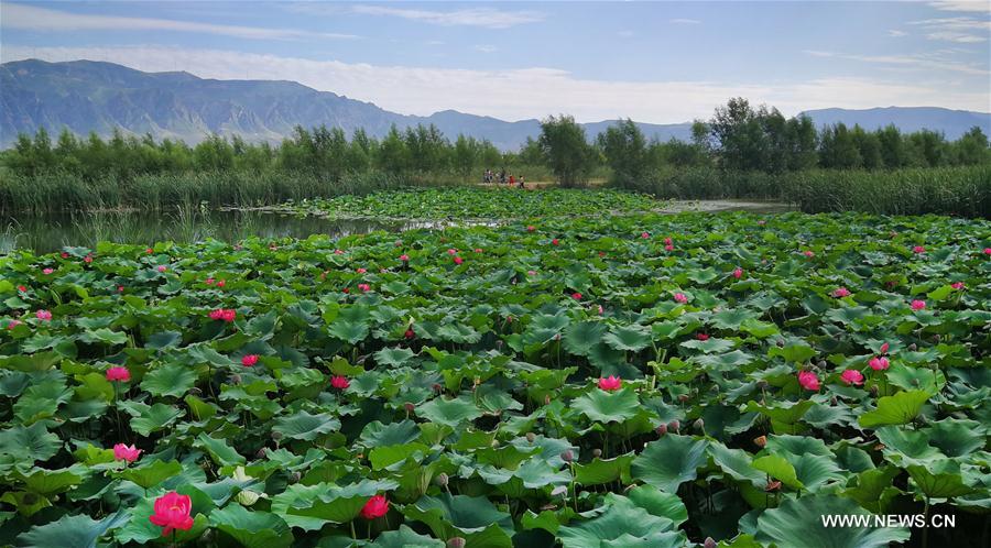 CHINA-SHANXI-GUANGLING-SCENERY (CN)