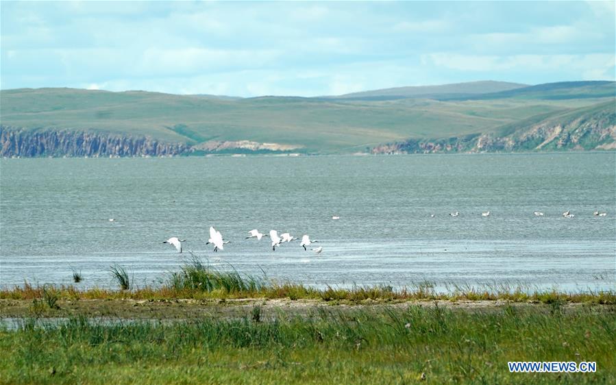 CHINA-INNER MONGOLIA-HULUN BUIR-HULUN LAKE (CN)