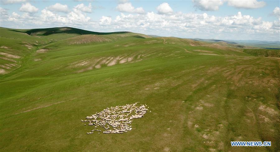 CHINA-INNER MONGOLIA-HULUNBUIR-AERIAL VIEW (CN)