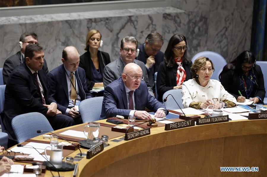 UN-SECURITY COUNCIL-SYRIA