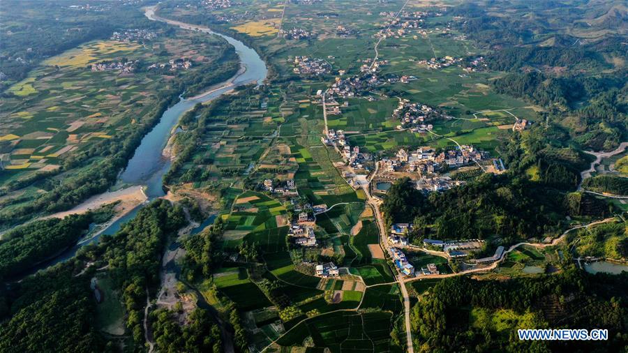 CHINA-GUANGXI-GONGCHENG-FIELDS-SCENERY (CN)