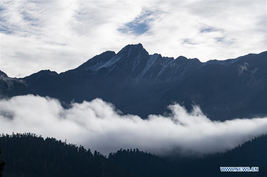 CHINA-TIBET-LULANG-SCENERY (CN)