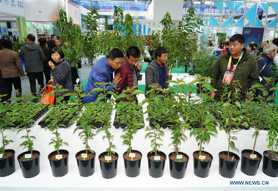 CHINA-SHAANXI-YANGLING-AGRICULTURAL FAIR (CN)