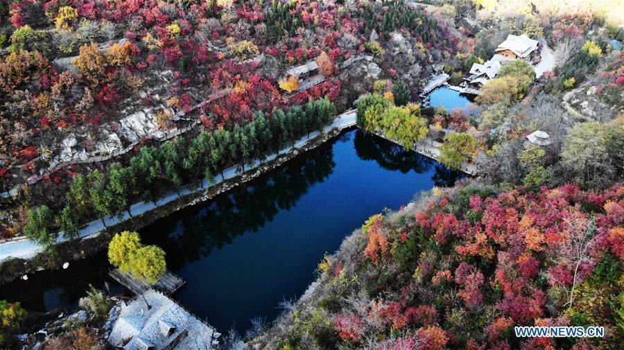 CHINA-SHANDONG-JINAN-AUTUMN SCENERY (CN)