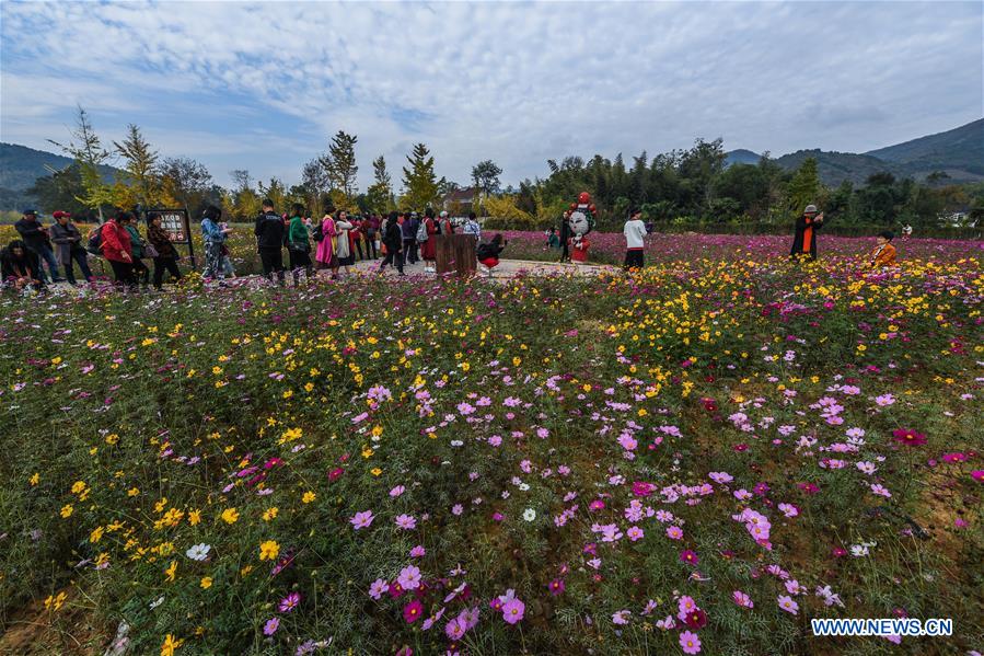 CHINA-ZHEJIANG-CHANGXING-SCENERY (CN)