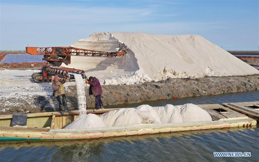 CHINA-HEBEI-CAOFEIDIAN-SALT PAN-AUTUMN-HARVEST (CN)