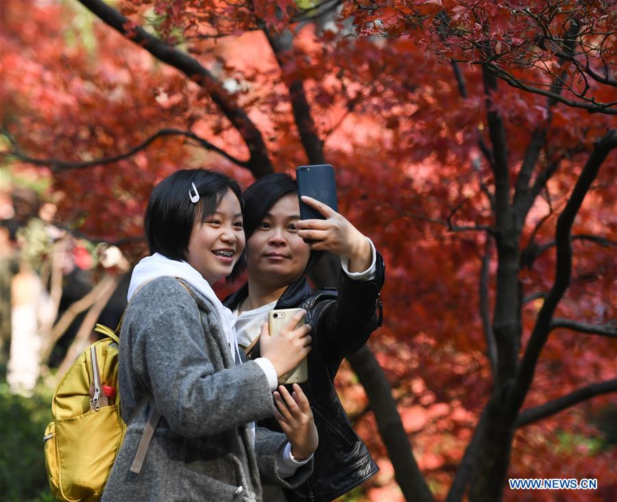 CHINA-HUNAN-CHANGSHA-MAPLE LEAF (CN)