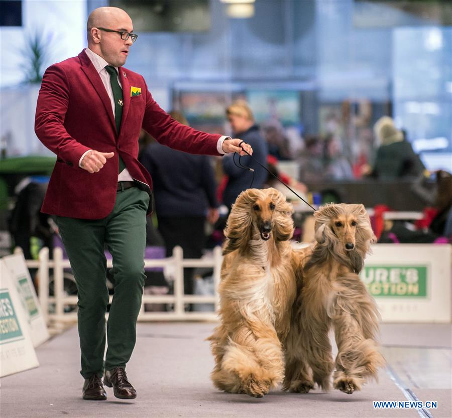 LITHUANIA-VILNIUS-DOG SHOW