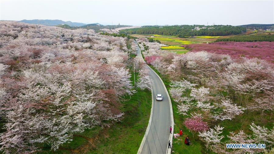 CHINA-GUIZHOU-QINGZHEN-SPRING SCENERY (CN)