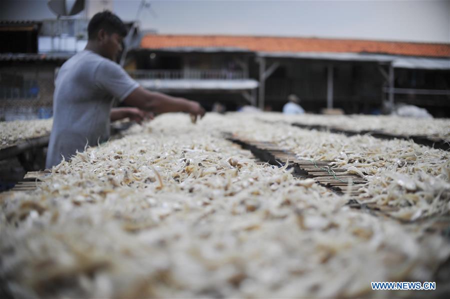 INDONESIA-JAKARTA-DRY FISH-DAILY LIFE 