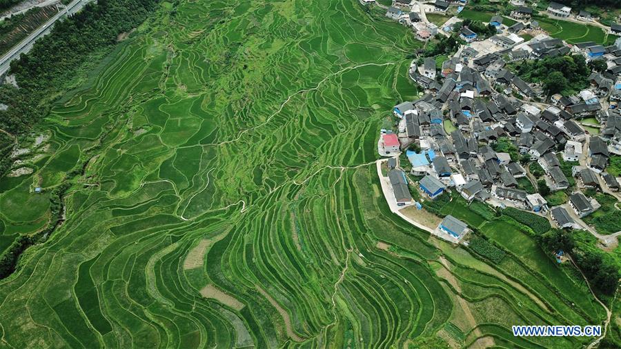 CHINA-GUIZHOU-DANZHAI-TERRACED FIELD-SCENERY (CN)