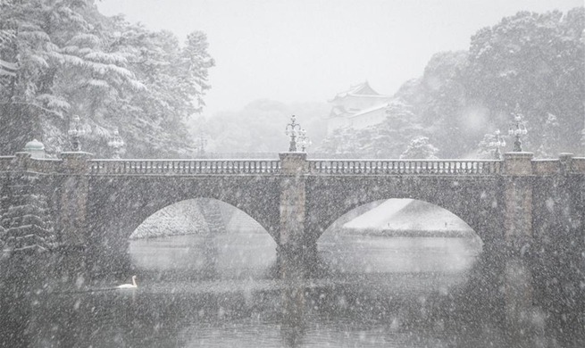 Tokyo hit by heavy snow, gov't calls for public vigilance