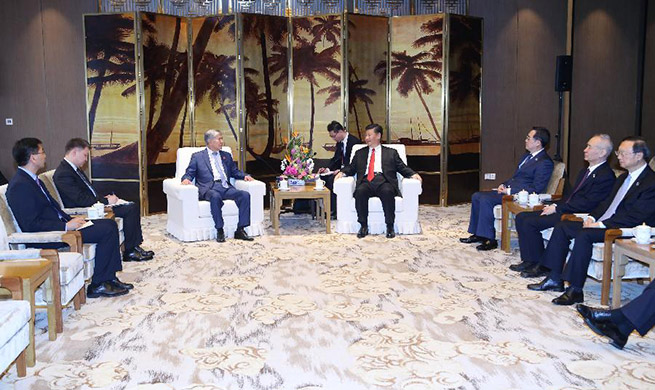 Xi meets former Kyrgyz president on bilateral cooperation