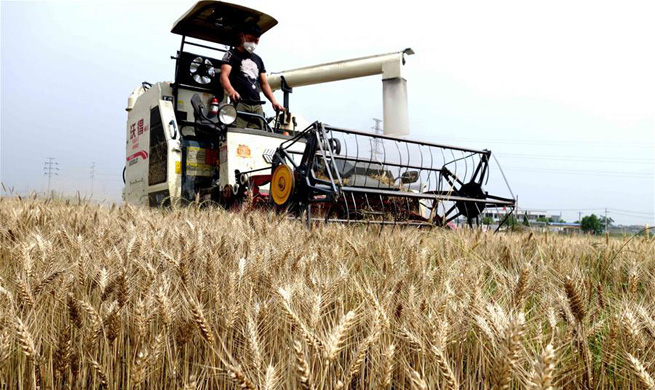 Farmers work in hot summer across China