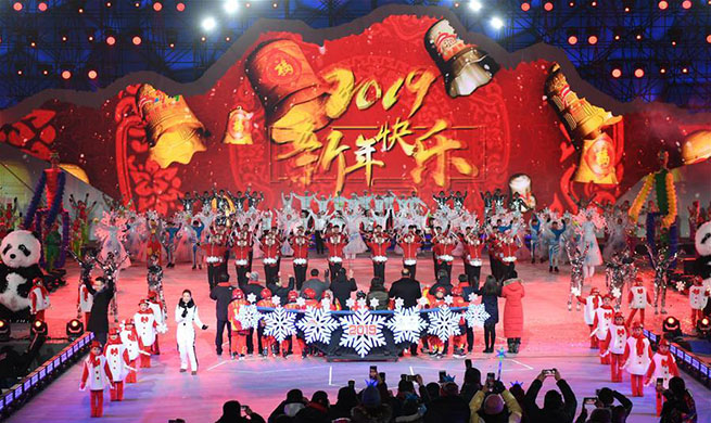 Various activities organized across China to greet year of 2019