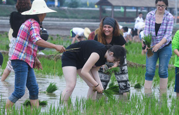 People compete in rice transplanting game in E China