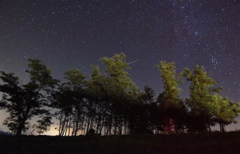 Perseid Meteor Shower in starry sky