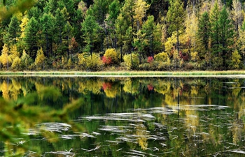 Autumn scenery of N China's Inner Mongolia