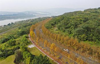 Early winter scenery of Guangyang Isle in SW China's Chongqing