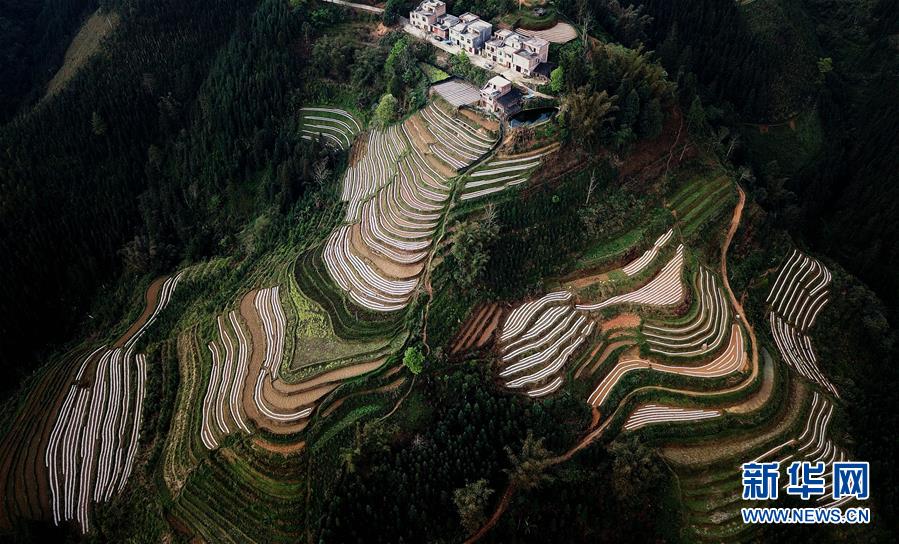 （春季美麗生態(tài)）（5）飛閱邊關山田春景