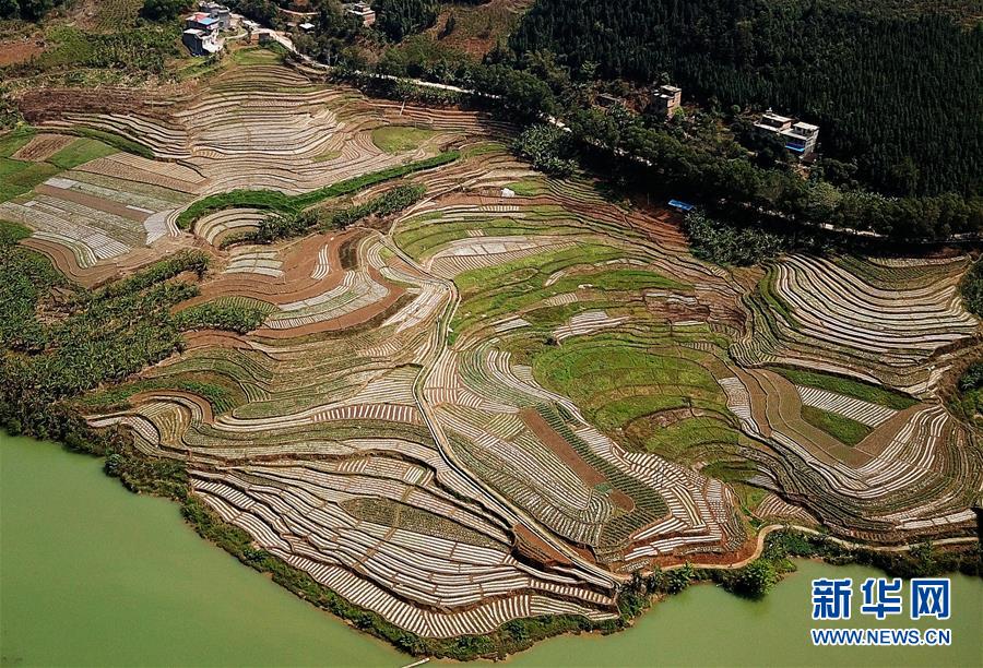 （春季美麗生態(tài)）（6）飛閱邊關山田春景