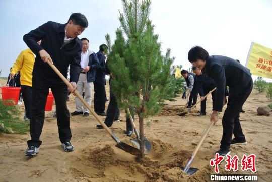 世界地球日中國(guó)第七大沙漠植樹(shù)5萬(wàn)株