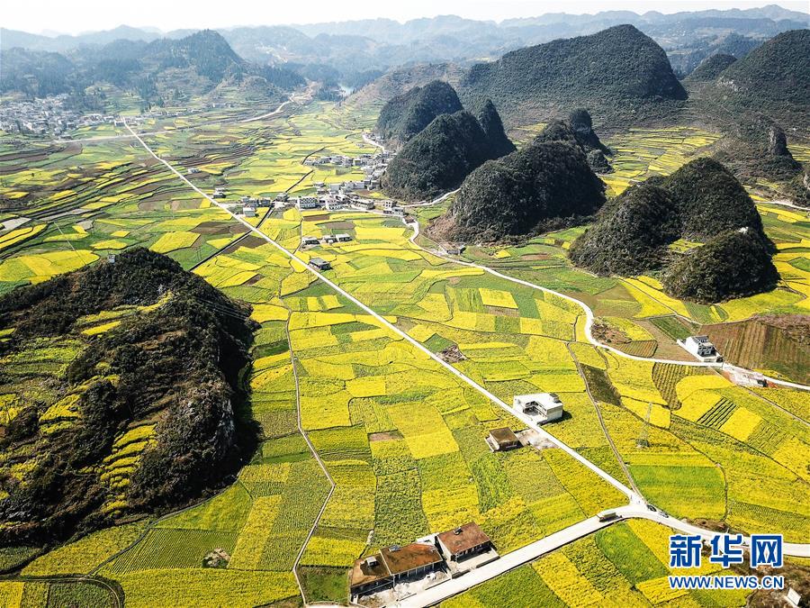 （新華全媒頭條·圖文互動）（10）從脆弱生態(tài)到滿眼皆“綠”——國家生態(tài)文明試驗區(qū)貴州的“綠色之路”